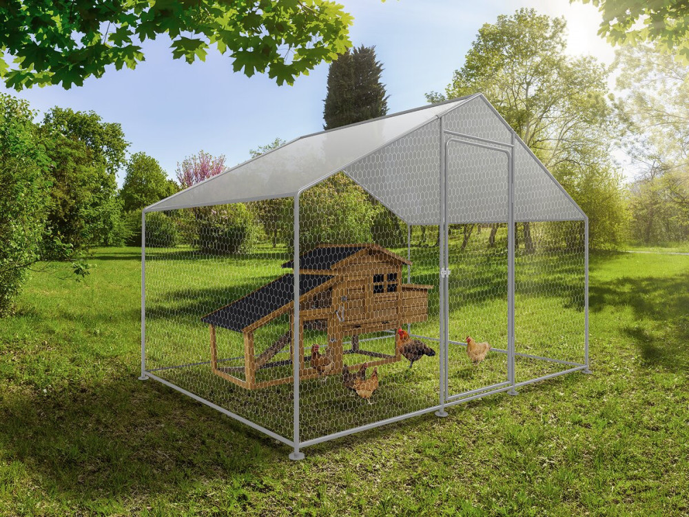 Recinto per galline 6 m² rete metallica 2 x 3 x 2 M acciaio zincato