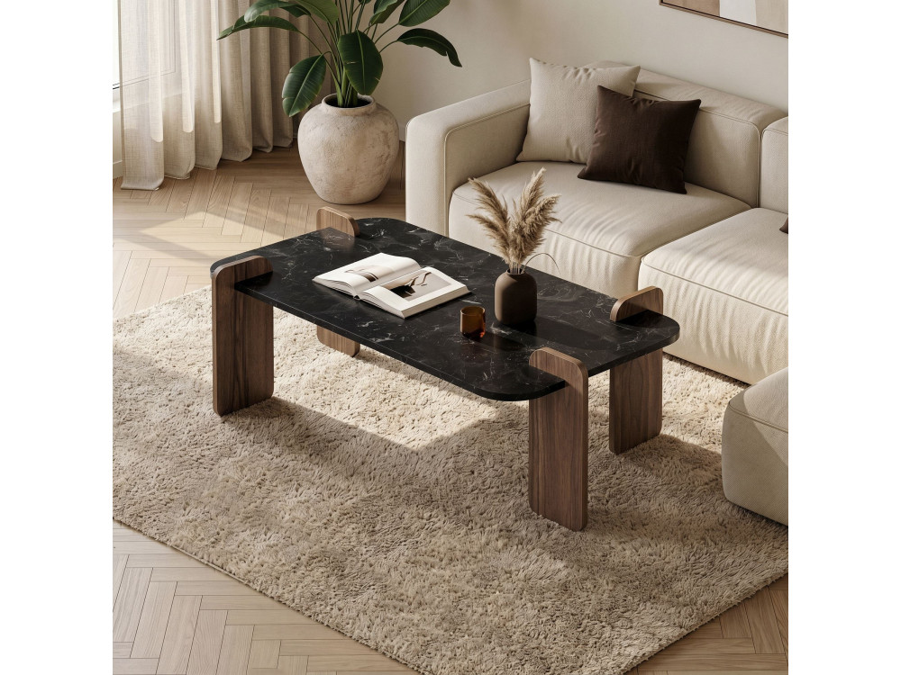 Tavolino in legno "Renard" - 120 x 60 x 35 cm - Nero