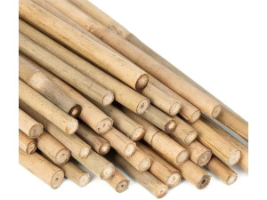 Kit di 15 listelli di bambù per sukkah, lunghezza 15 x 110 cm