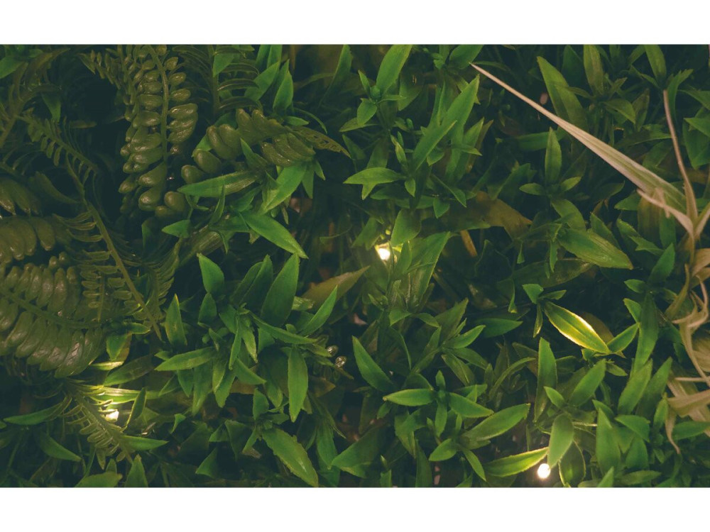 Cartello per erba - "Vertical Sauvage Led" - Set di 4 - 1,00 x 1,00 m - Verde