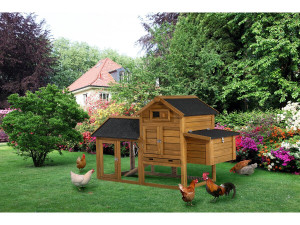 Pollaio "Poulette" con cassetta nido in legno - Marrone 2