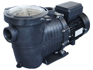 Pompa autoadescante da 1,5 hp con prefiltro - 21,6 m3 / h
